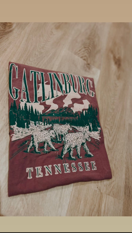 Gatlinburg Oversized Tee